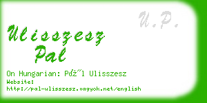 ulisszesz pal business card